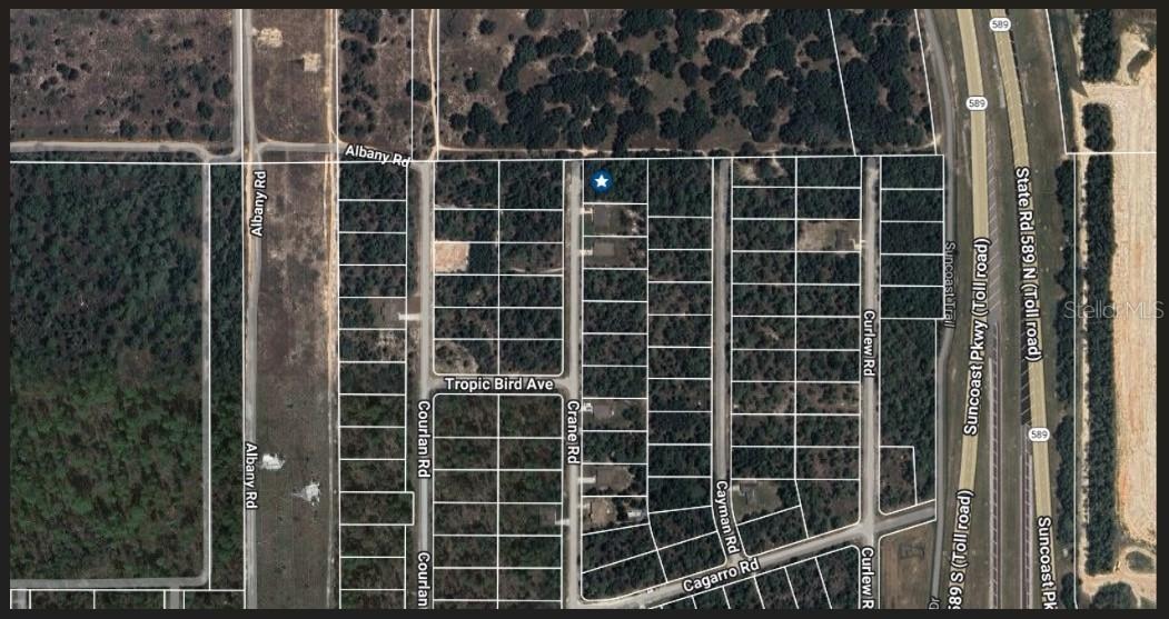 16492 Crane Rd., Weeki Wachee, FL 34614