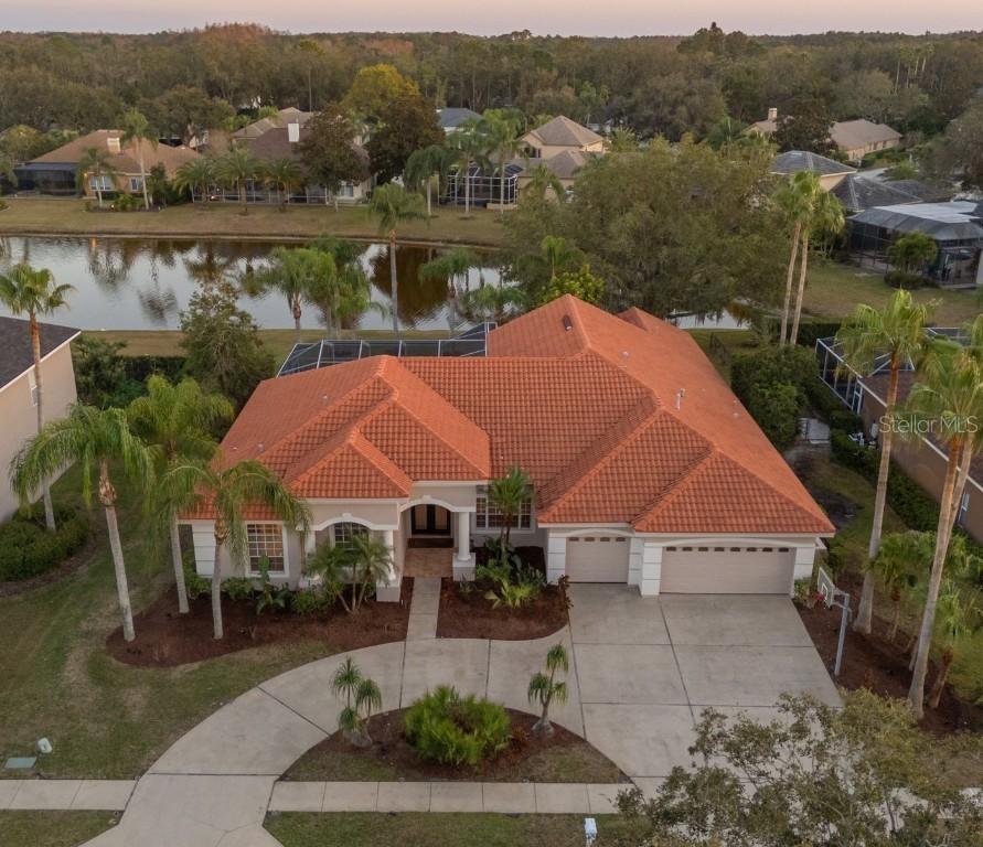 3830 Moreno Dr., Palm Harbor, FL 34685