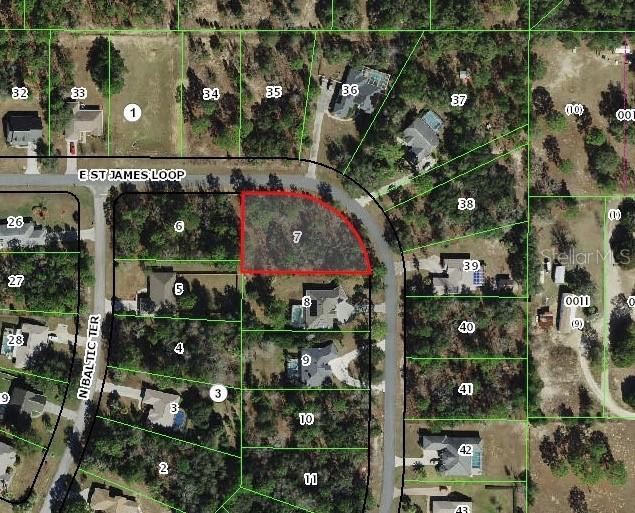 1820 E Saint James Loop, Inverness, FL 34453