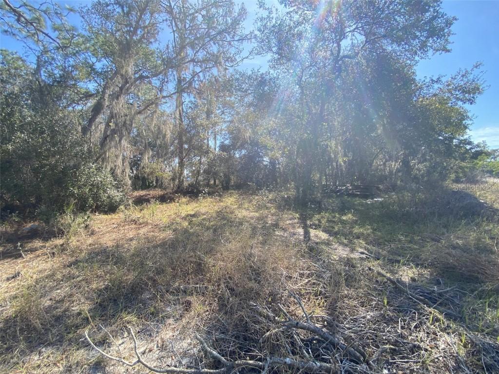1203 Vernon Ln., Kissimmee, FL 34759
