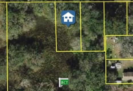 E Diana St., Tampa, FL 33610
