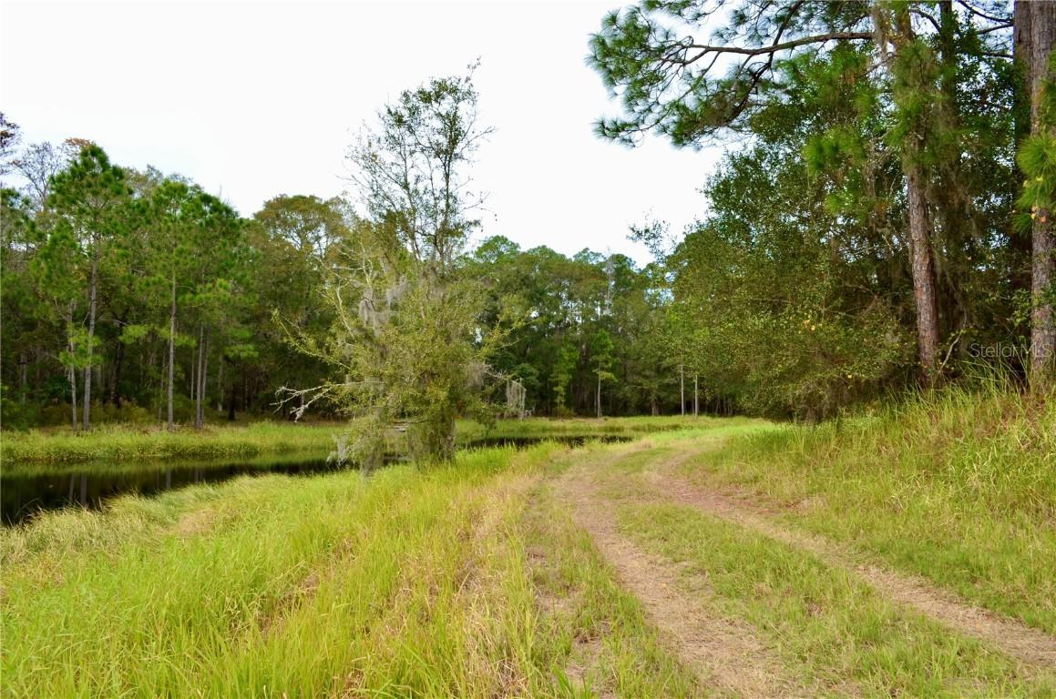 Odessa, Odessa, FL 33556