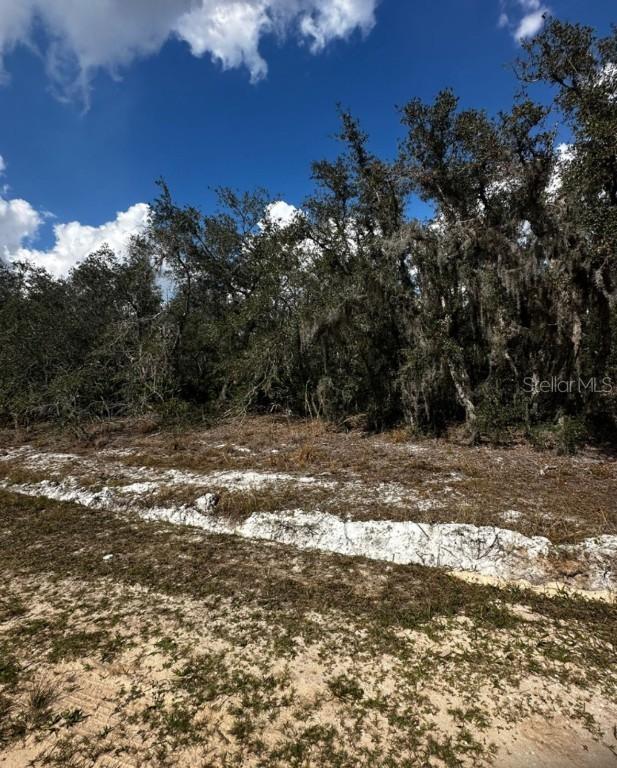 4491 Allison Ave., Lake Wales, FL 33859
