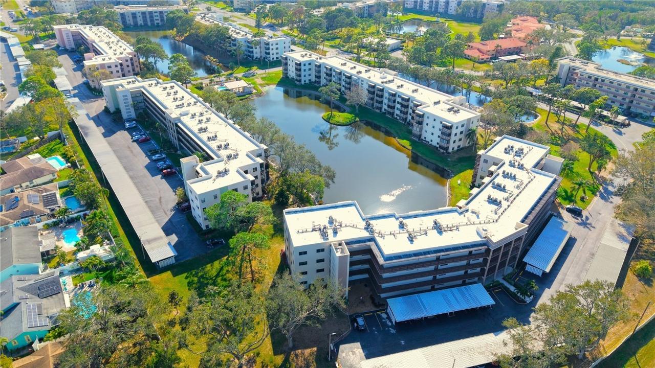 6190 80th St. #409, St Petersburg, FL 33709