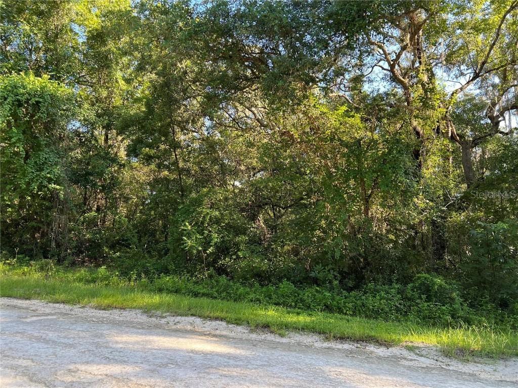 34085 Arrowrock St., Webster, FL 33597