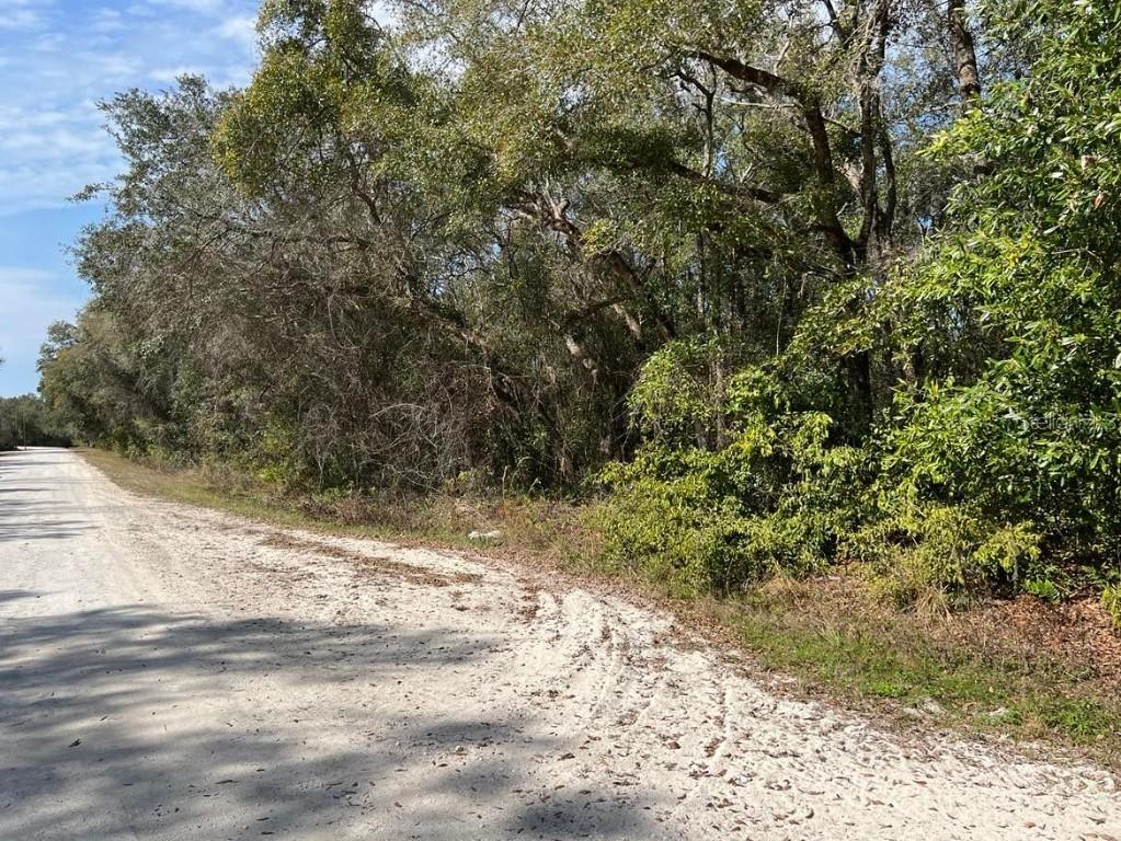 34085 Arrowrock St., Webster, FL 33597
