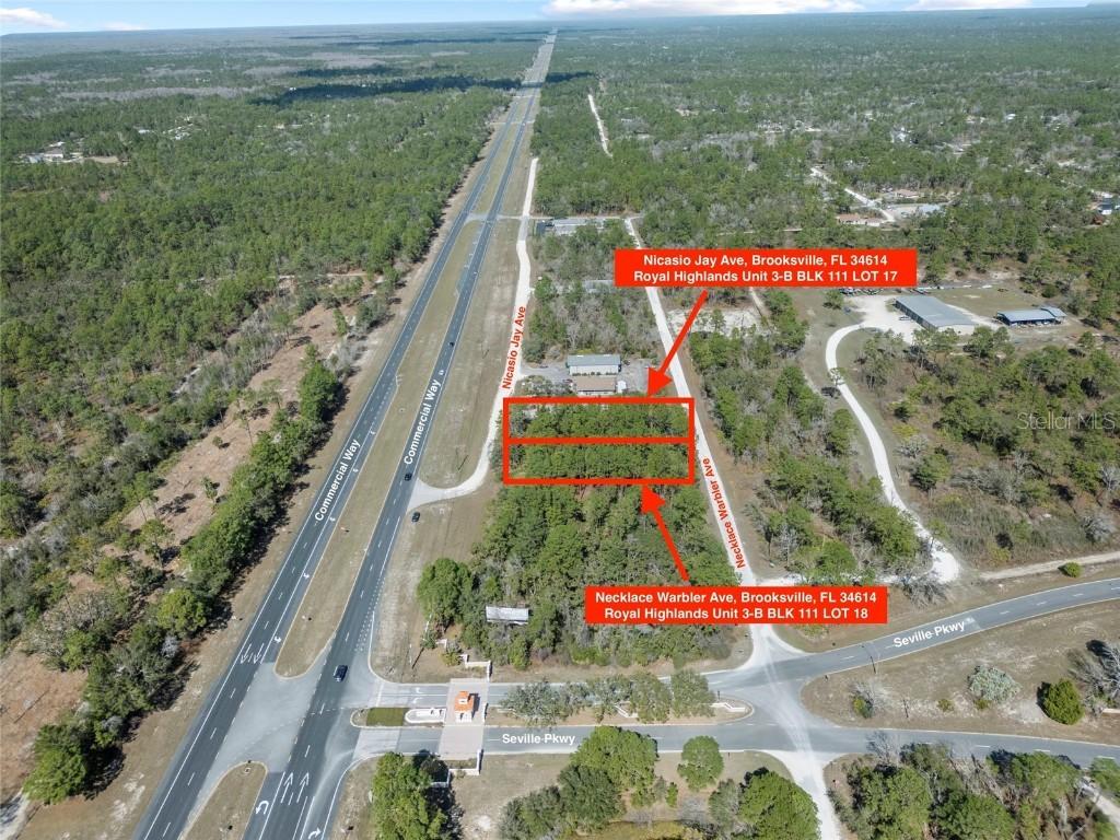 17279 Necklace Warbler Ave., Weeki Wachee, FL 34614