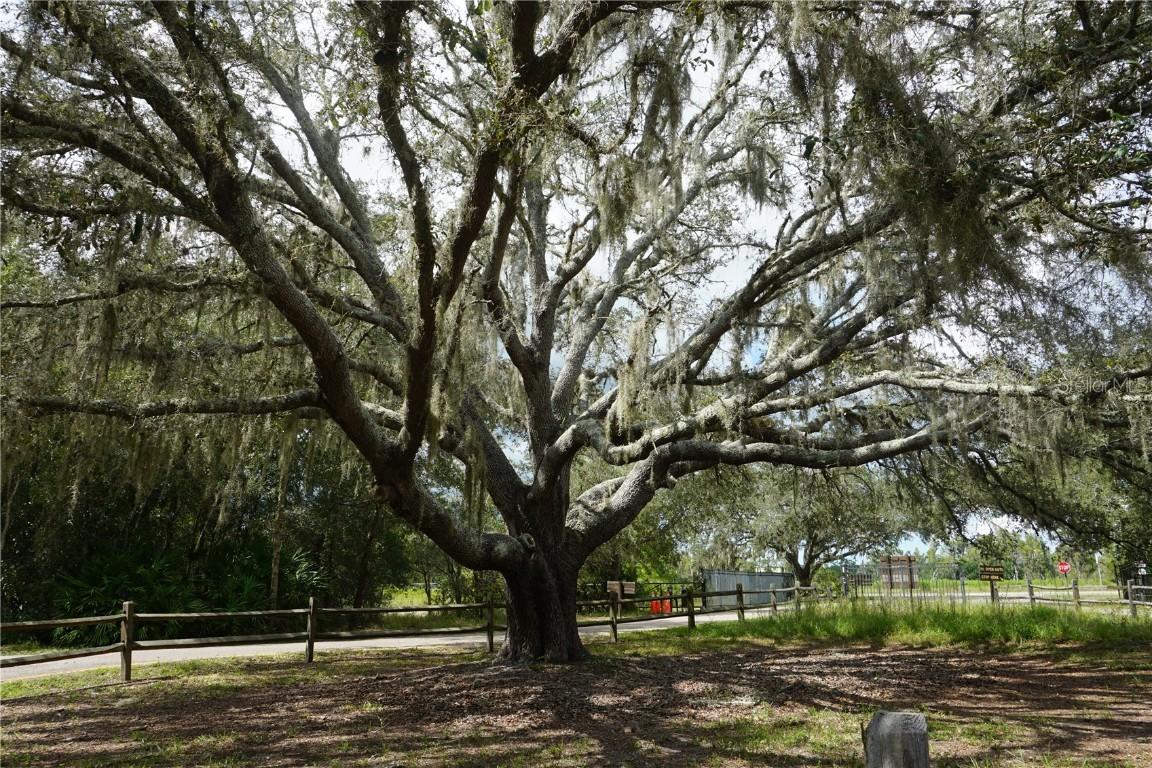 74th Ave., Pinellas Park, FL 33781