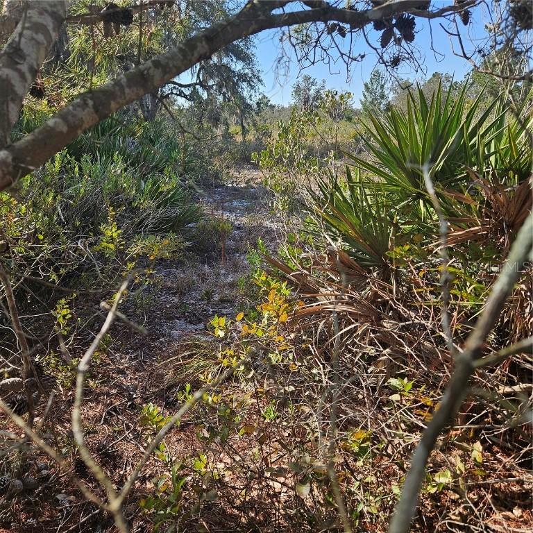 Sugarfoot Ave., Lake Wales, FL 33859