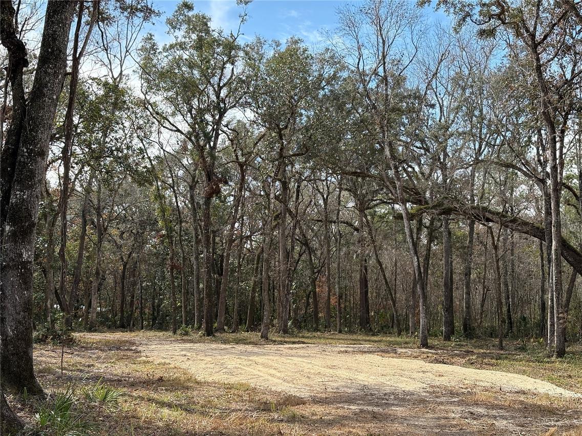 Lake Lindsey Rd., Brooksville, FL 34601