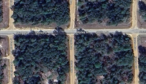 Janet Ave, Interlachen, FL 32148