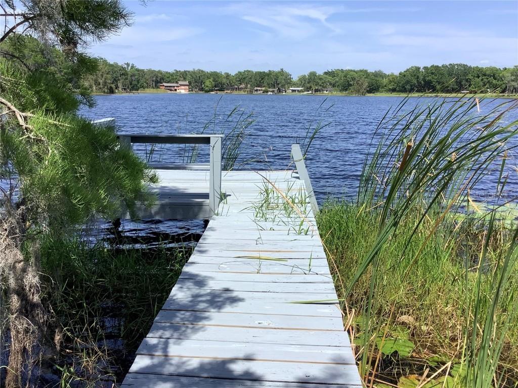 16921 Crawley Rd., Odessa, FL 33556