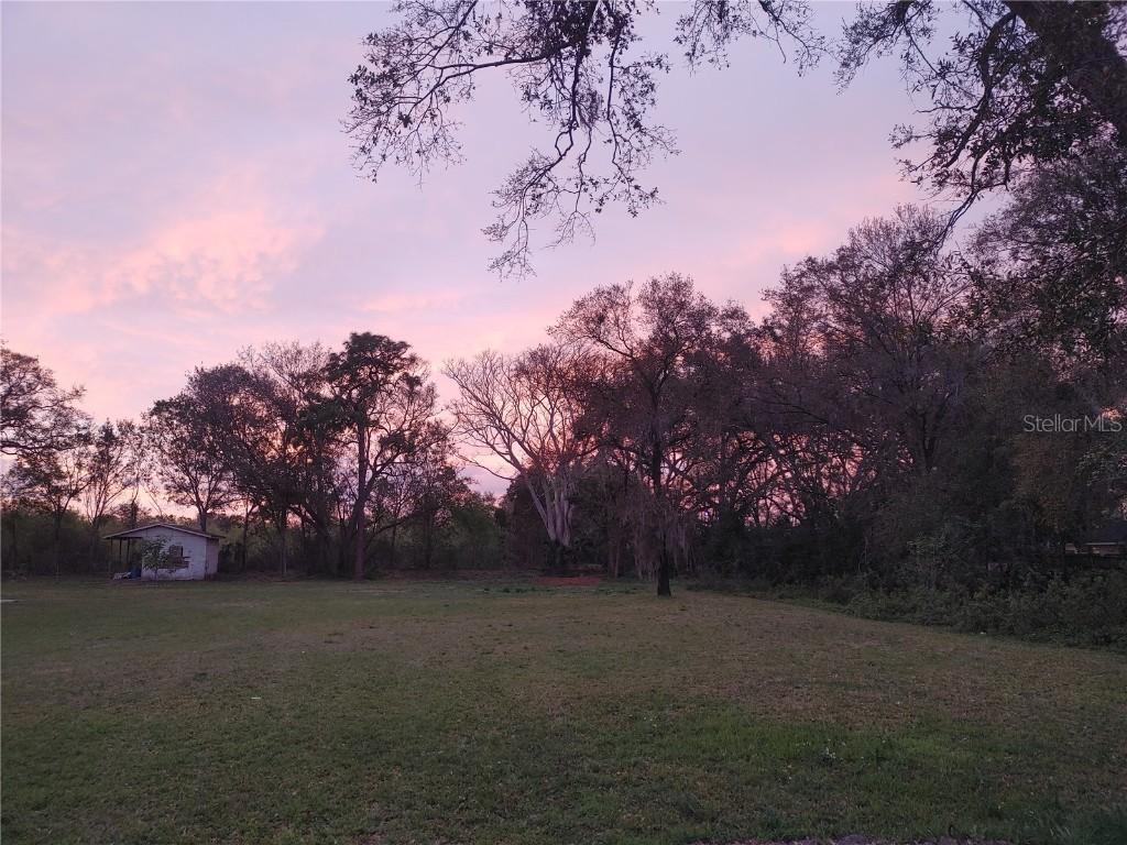 215 W 131st Ave., Tampa, FL 33612