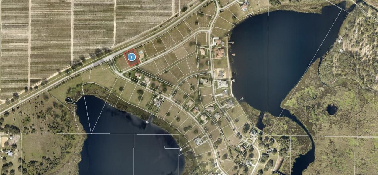 7401 Jasmine St., Groveland, FL 34736