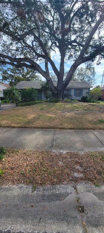 4012 W Pearl Ave., Tampa, FL 33611