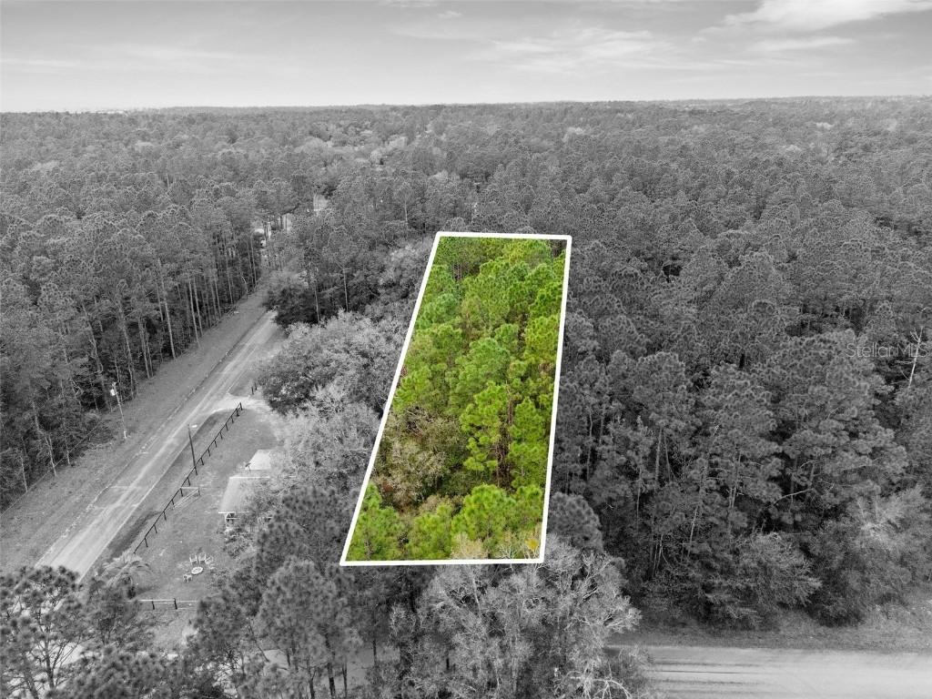 000 SW 202nd Ct., Dunnellon, FL 34431