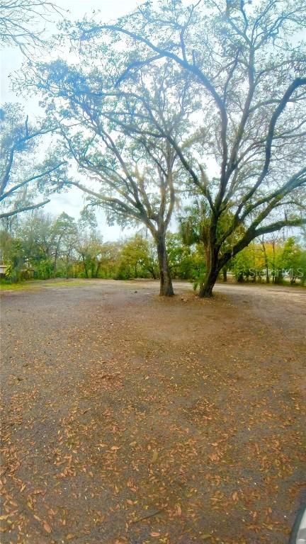 3891 Elfers Pkwy., New Port Richey, FL 34655