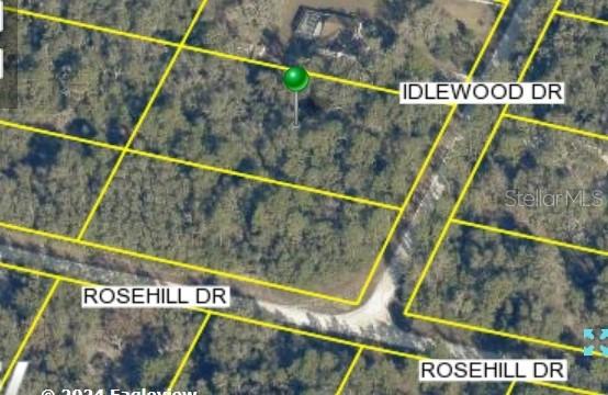 7319 Idlewood Dr., Webster, FL 33597