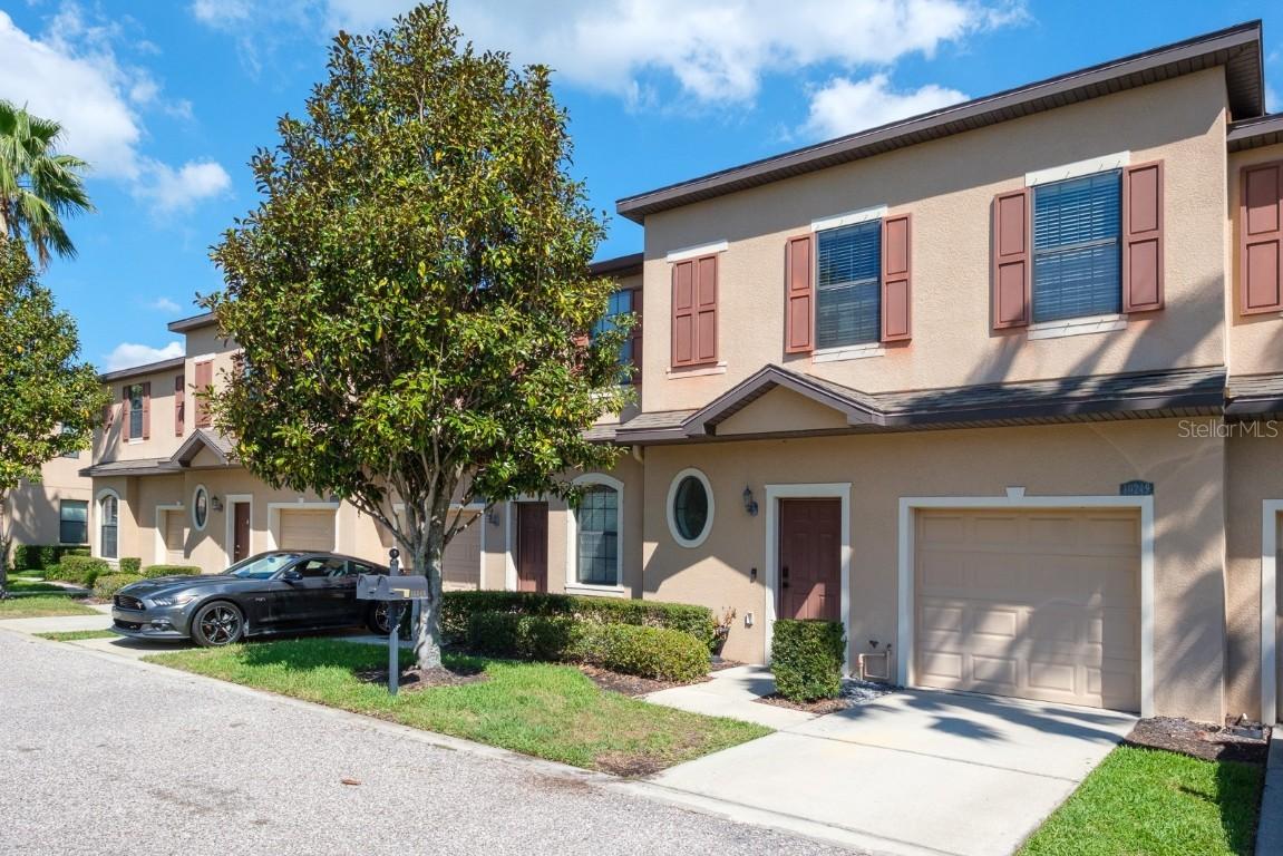 10249 Villa Palazzo Ct., Tampa, FL 33615
