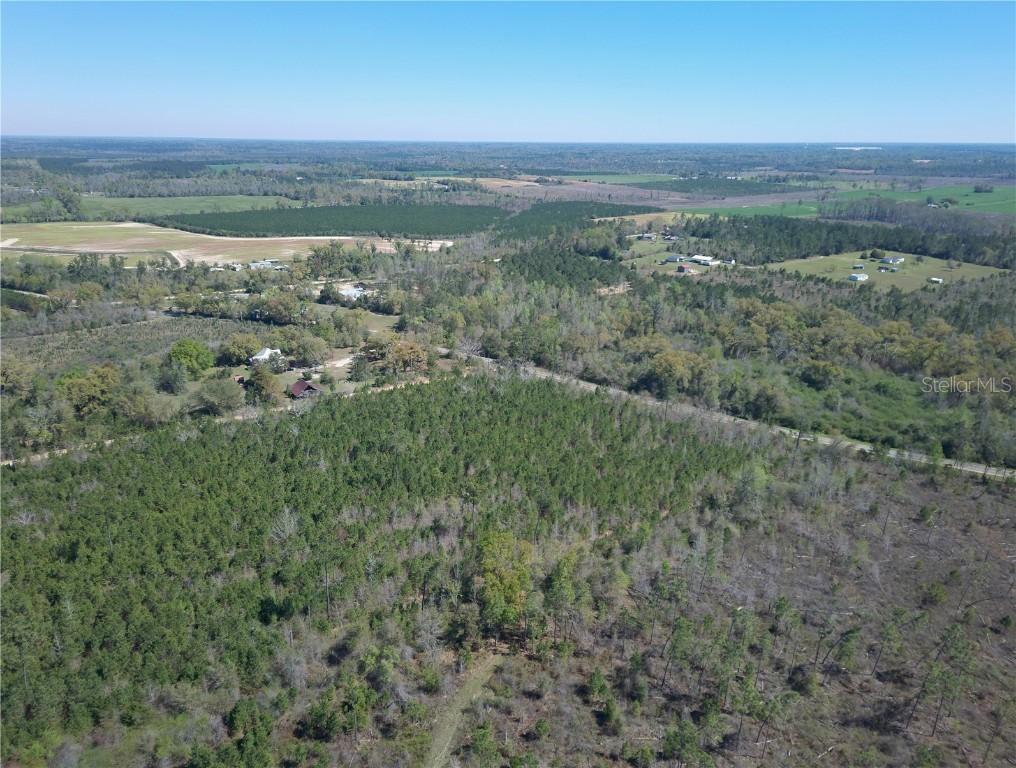 Bethlehem Rd., Cottondale, FL 32431