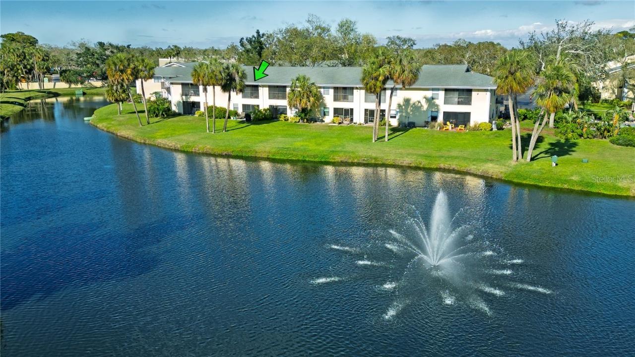 3001 58th Ave. #312, St Petersburg, FL 33712