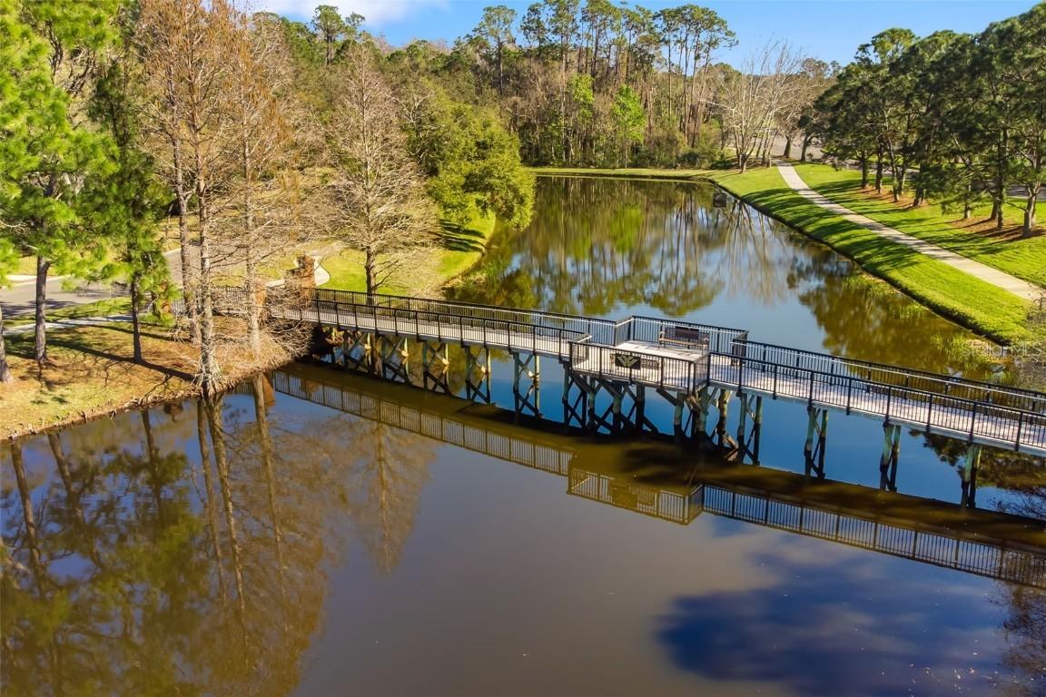 12027 Wandsworth Dr., Tampa, FL 33626