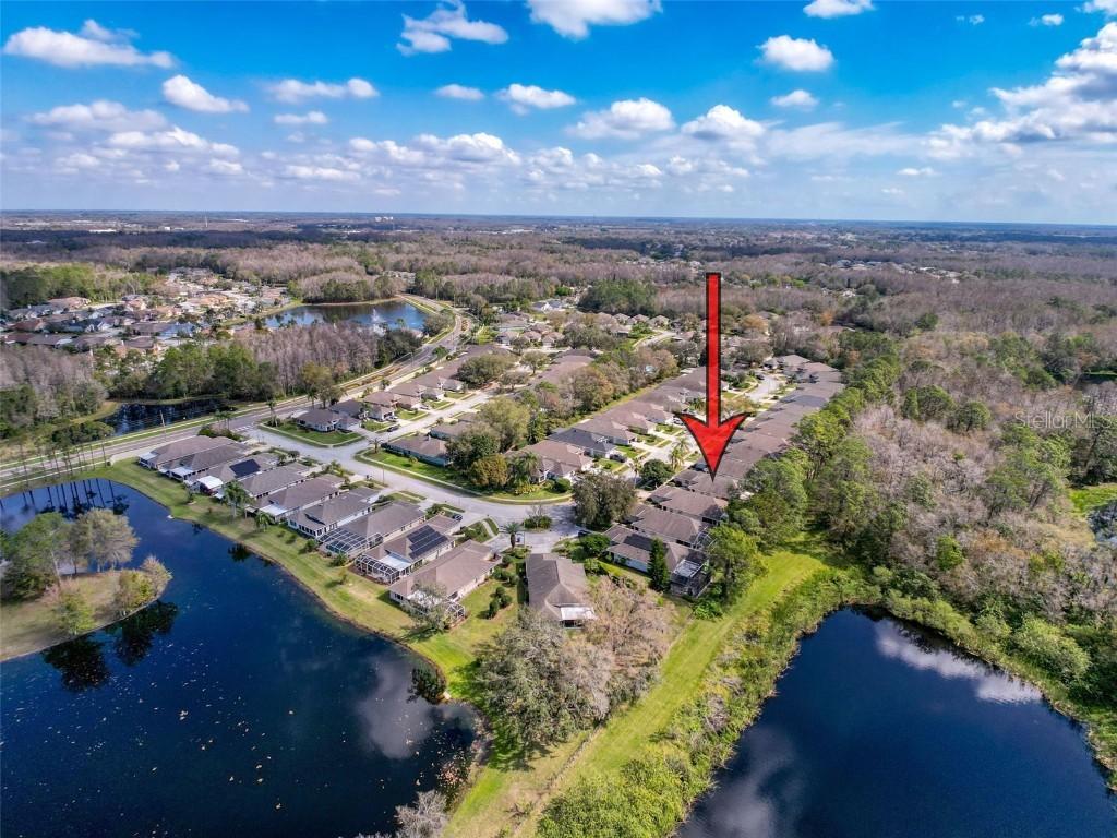 1042 Trafalgar Dr., New Port Richey, FL 34655