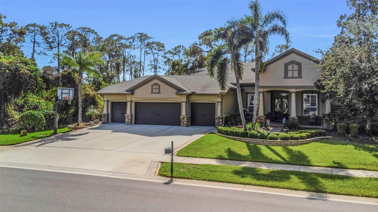 3668 Janus Way, Palm Harbor, FL 34685
