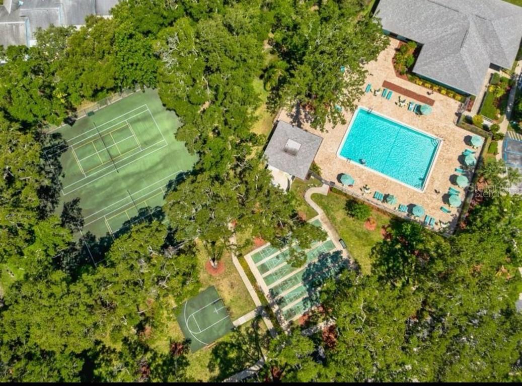 3300 Fox Chase Cir. #229, Palm Harbor, FL 34683