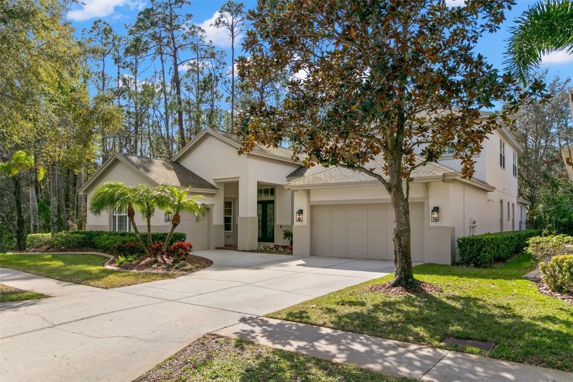 14841 Tudor Chase Dr., Tampa, FL 33626