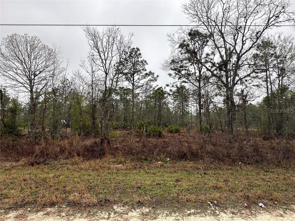 16419 Crane Rd., Weeki Wachee, FL 34614