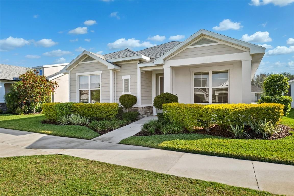 3579 Sweet Mabolo St., Wesley Chapel, FL 33543