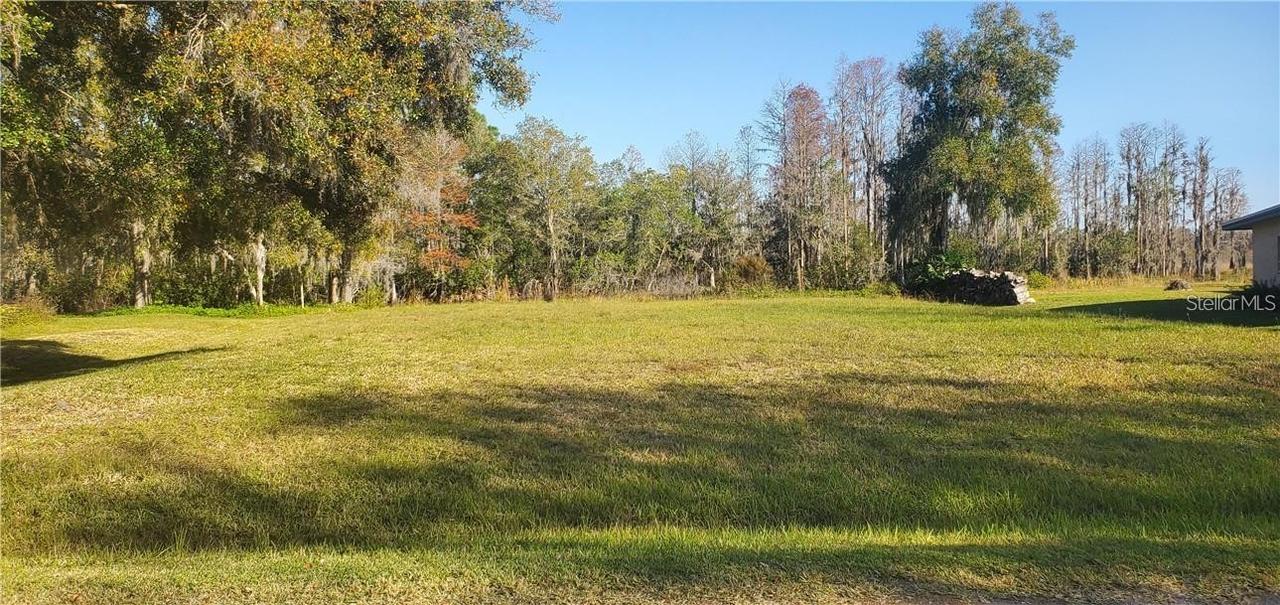 11124 Lake Shore Dr., Land O Lakes, FL 34637