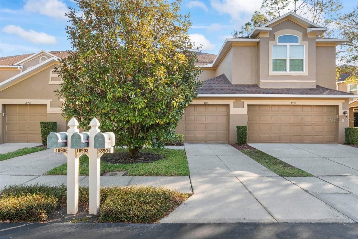 18903 Duquesne Dr., Tampa, FL 33647