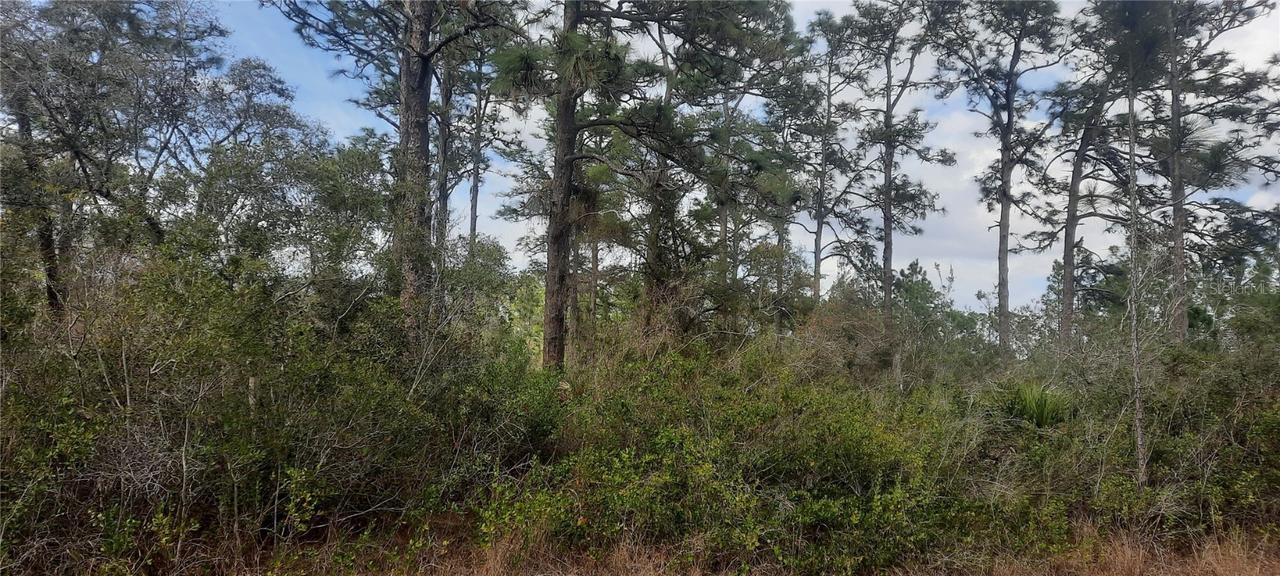 515 El Dorado Dr., Indian Lake Estates, FL 33855