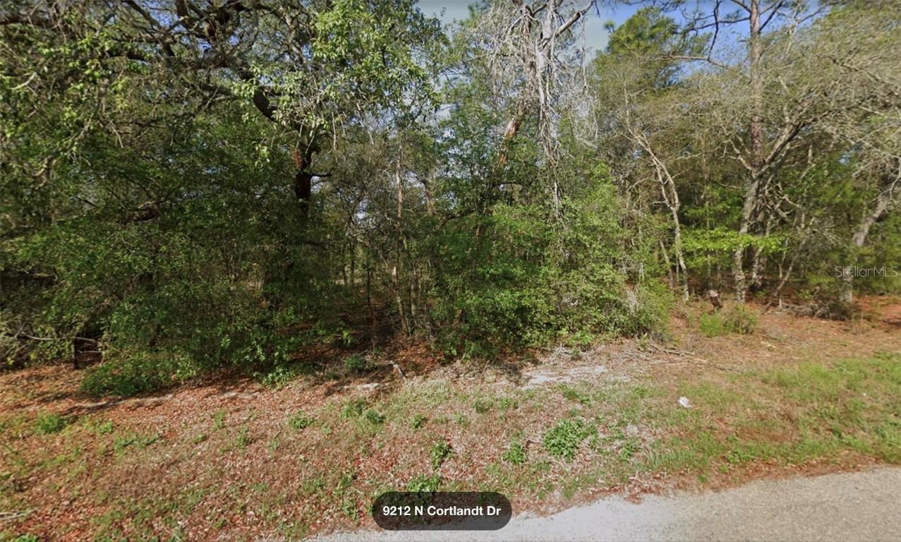 9212 N Cortlandt Dr., Citrus Springs, FL 34434