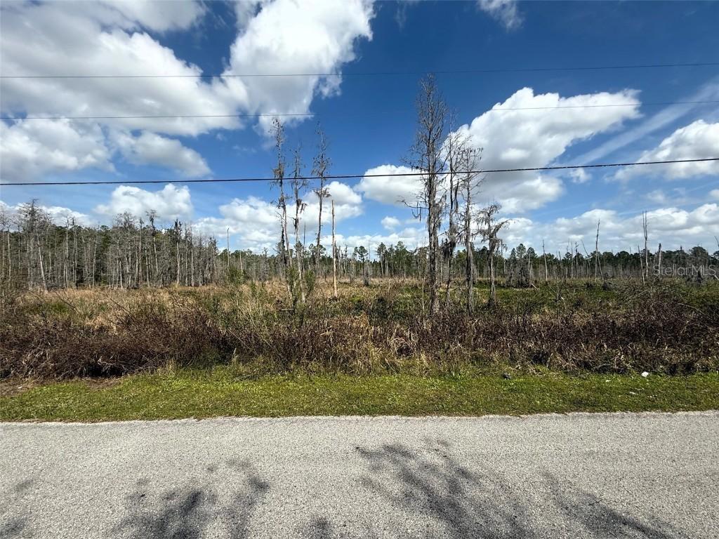 Green Willow Run #LOT 745, Wesley Chapel, FL 33544