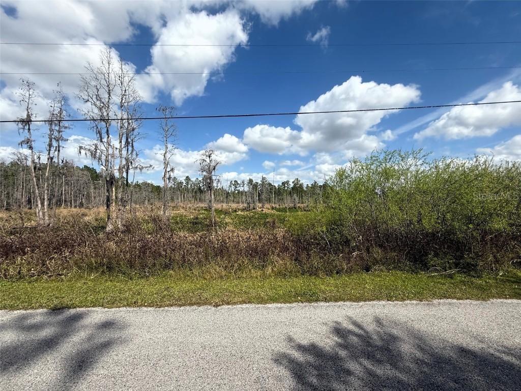 Green Willow Run #LOT 746, Wesley Chapel, FL 33544