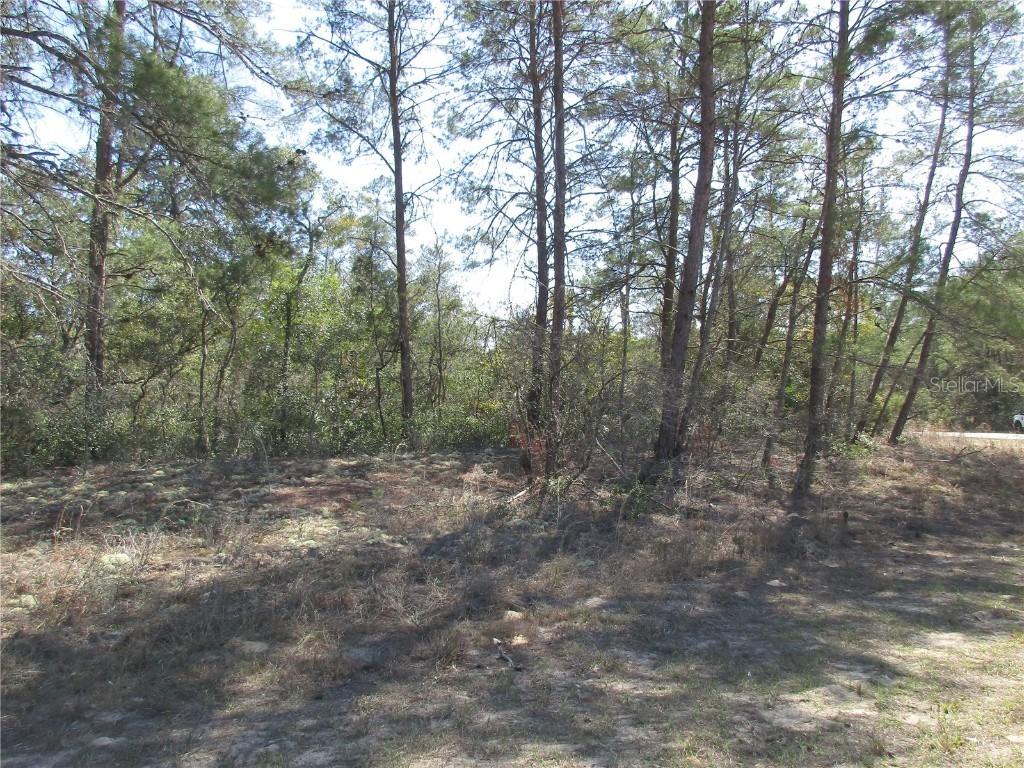 4381 W Malaluka Cir., Citrus Springs, FL 34433