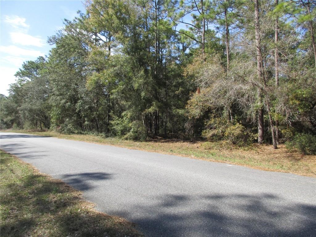 3199 W Talinum Pl., Citrus Springs, FL 34433