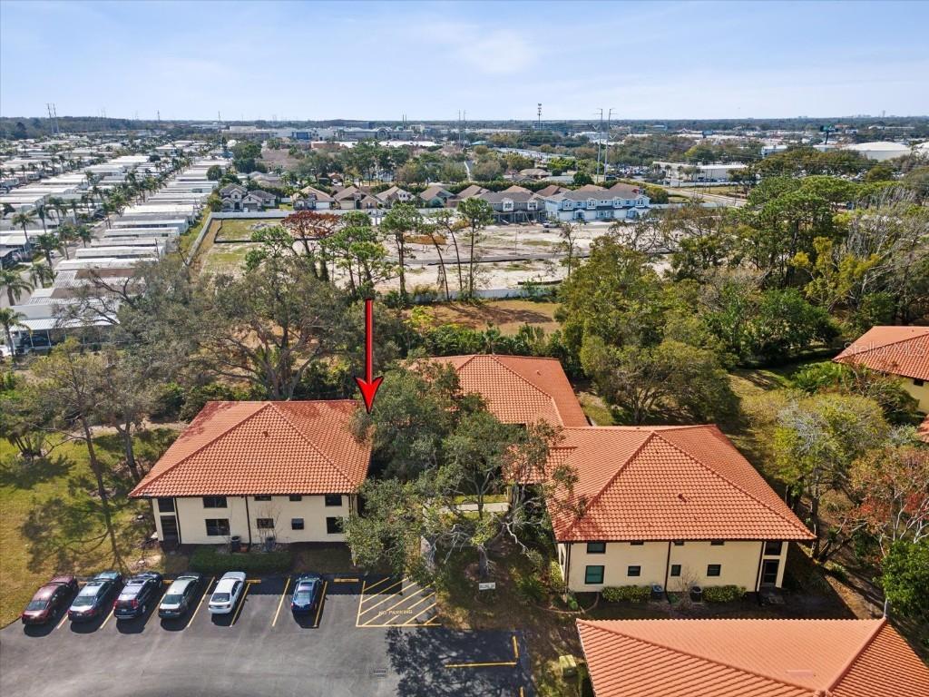 2009 Hammock Pine Blvd., Clearwater, FL 33761