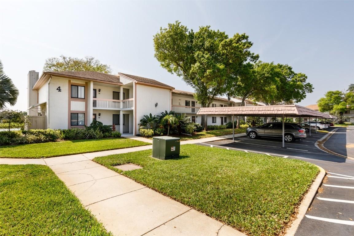 142 Lakeview Way, Oldsmar, FL 34677