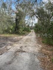 11616 Bullfrog Creek Rd., Gibsonton, FL 33534