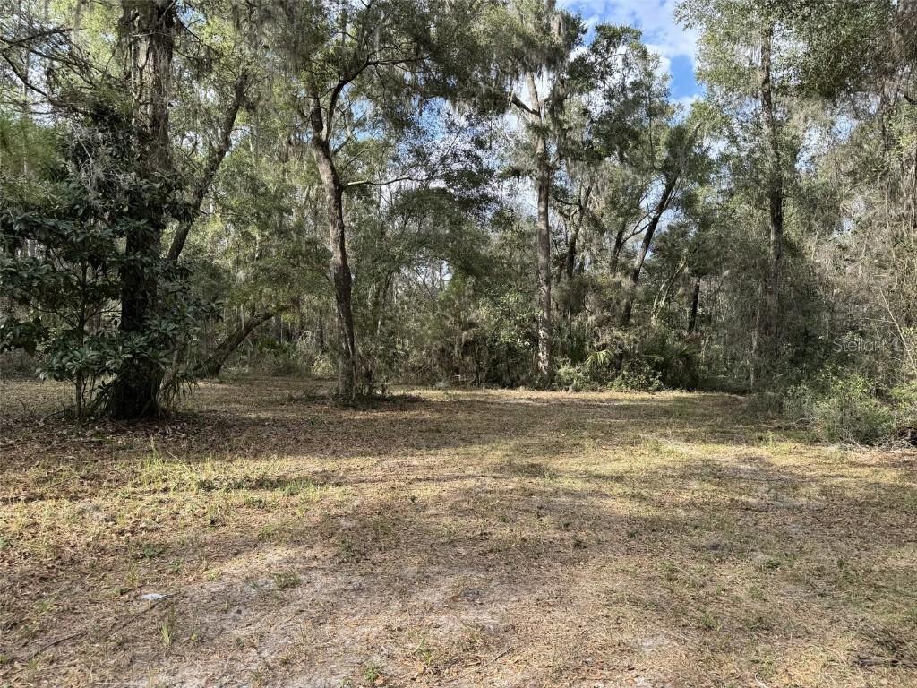 22422 NW 91 Court Rd., Micanopy, FL 32667