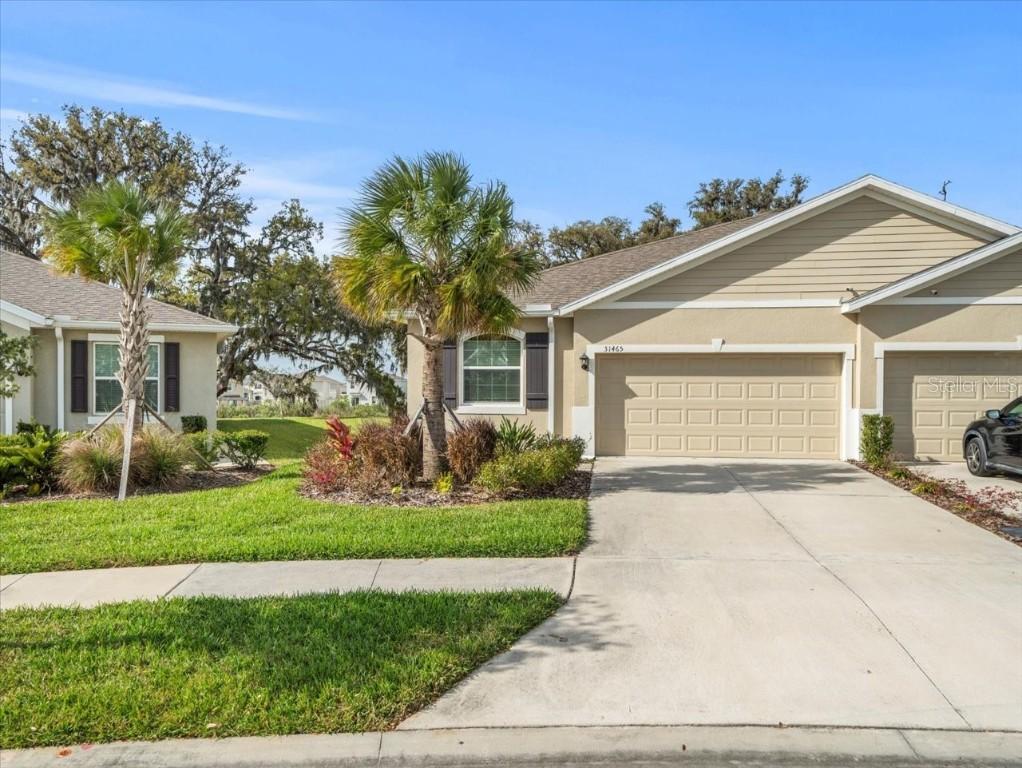 31465 Mango Fade Way, San Antonio, FL 33576