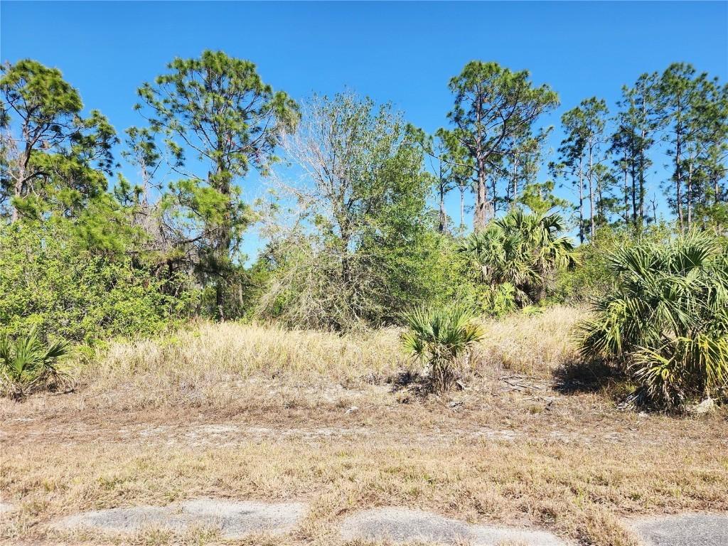 Lot 14 Hamerton Rd., North Port, FL 34288