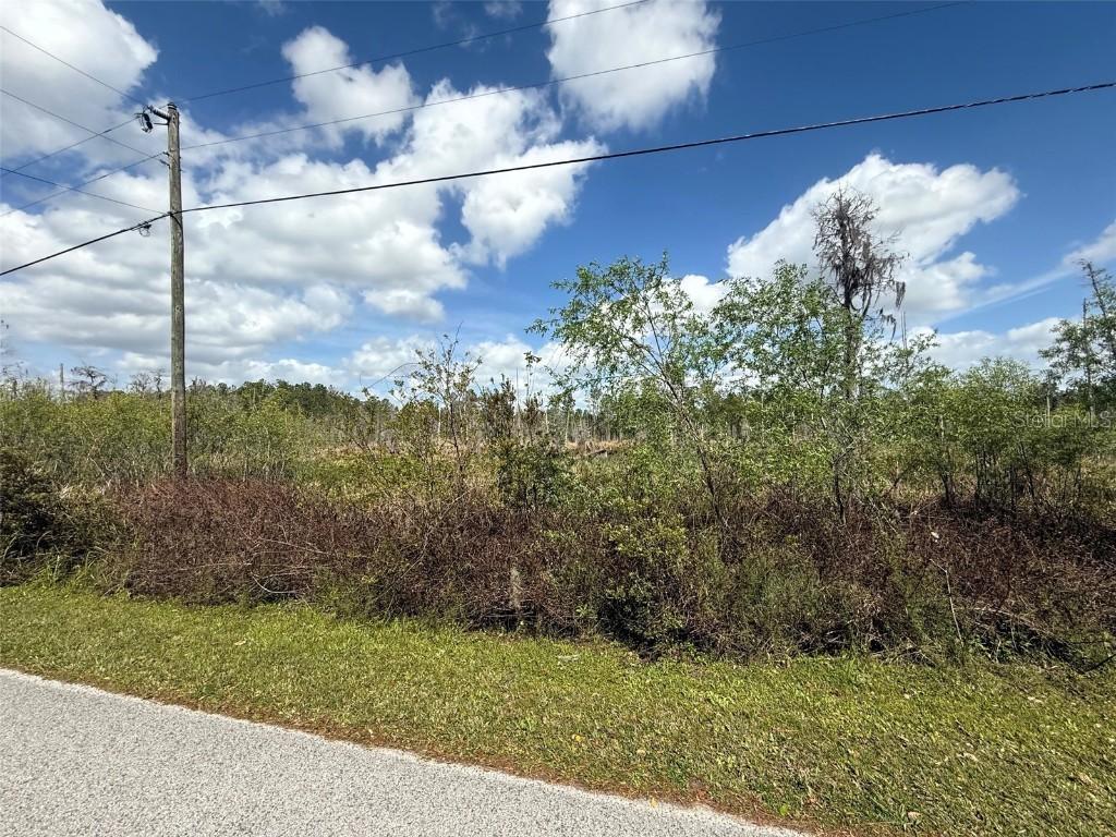 Green Willow Run #LOT 747, Wesley Chapel, FL 33544