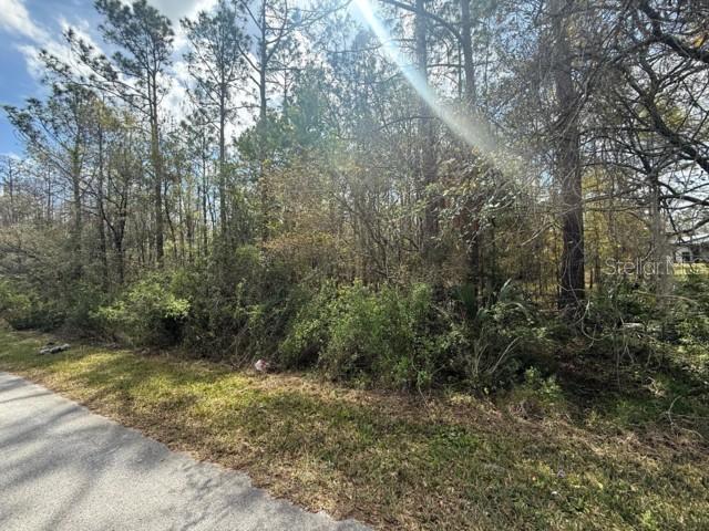 Green Willow Run #LOT 759, Wesley Chapel, FL 33544