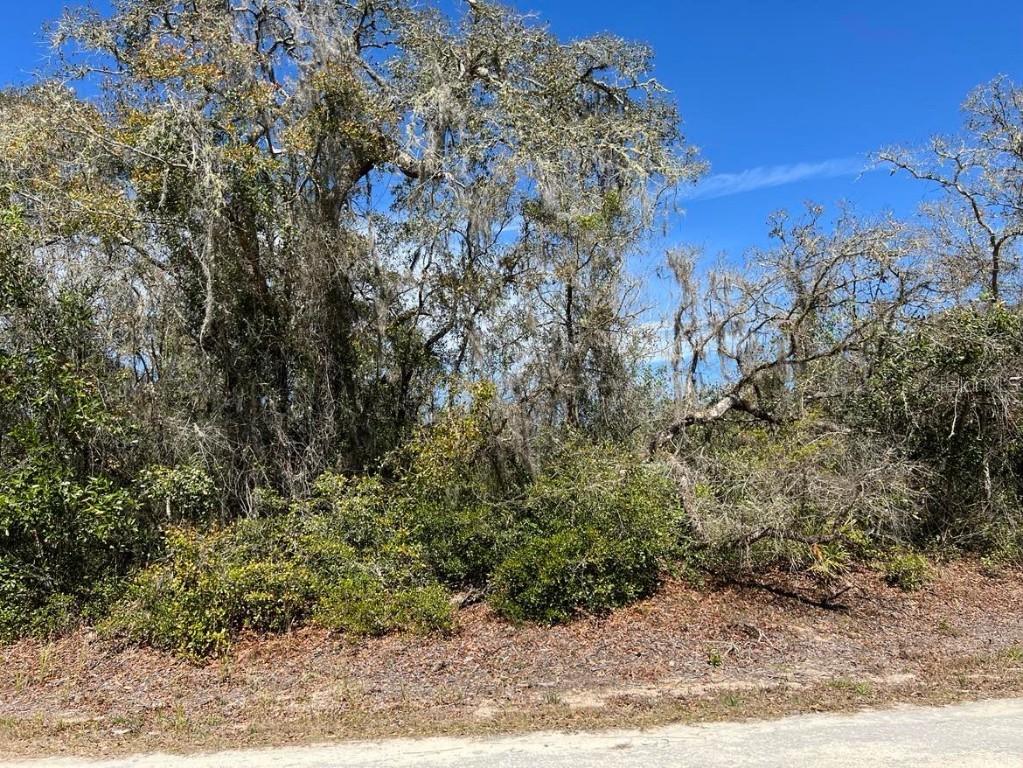Riverstone St. #Lot 26, Webster, FL 33597