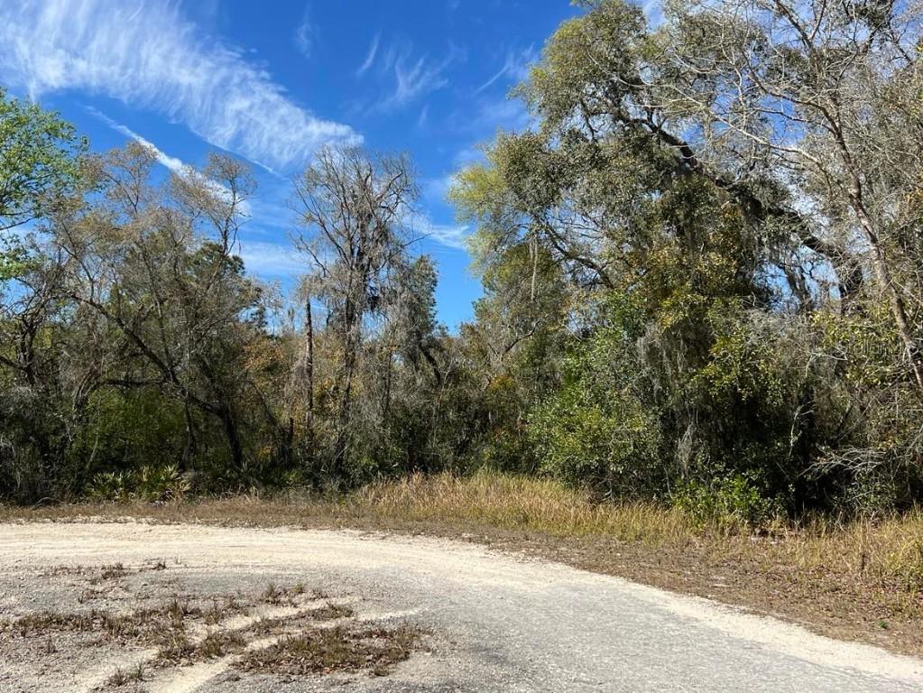 Riverstone St. #Lot 26, Webster, FL 33597